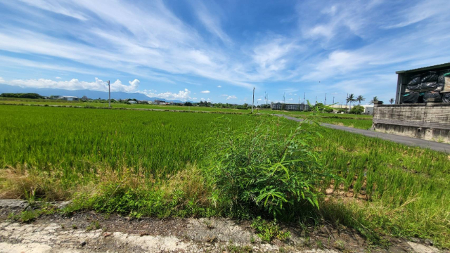 水上方正都計內農地