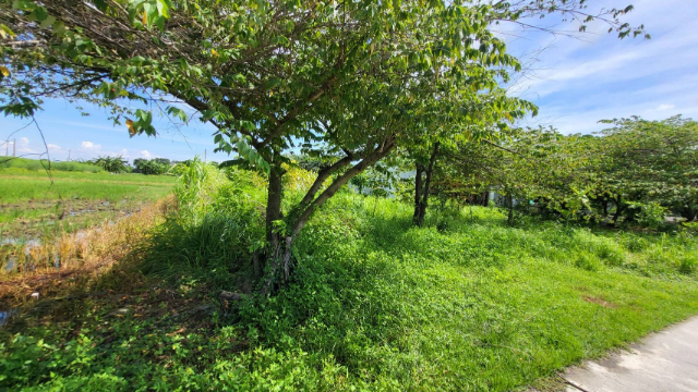 水上方正都計內農地